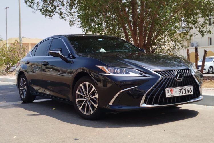 Abu Dhabi and Dubai Transfers | Premium Transportation Services in the UAE