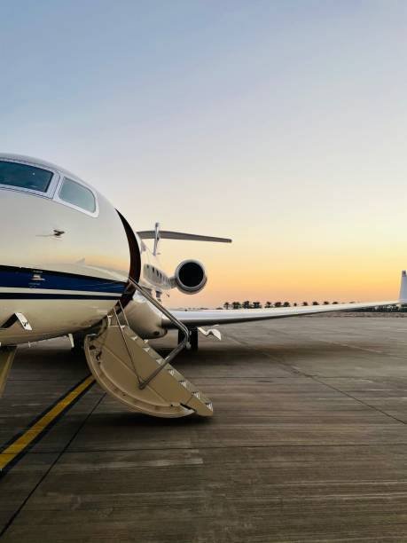 Tokyo Airport Limousine | Business Chauffeur Japan