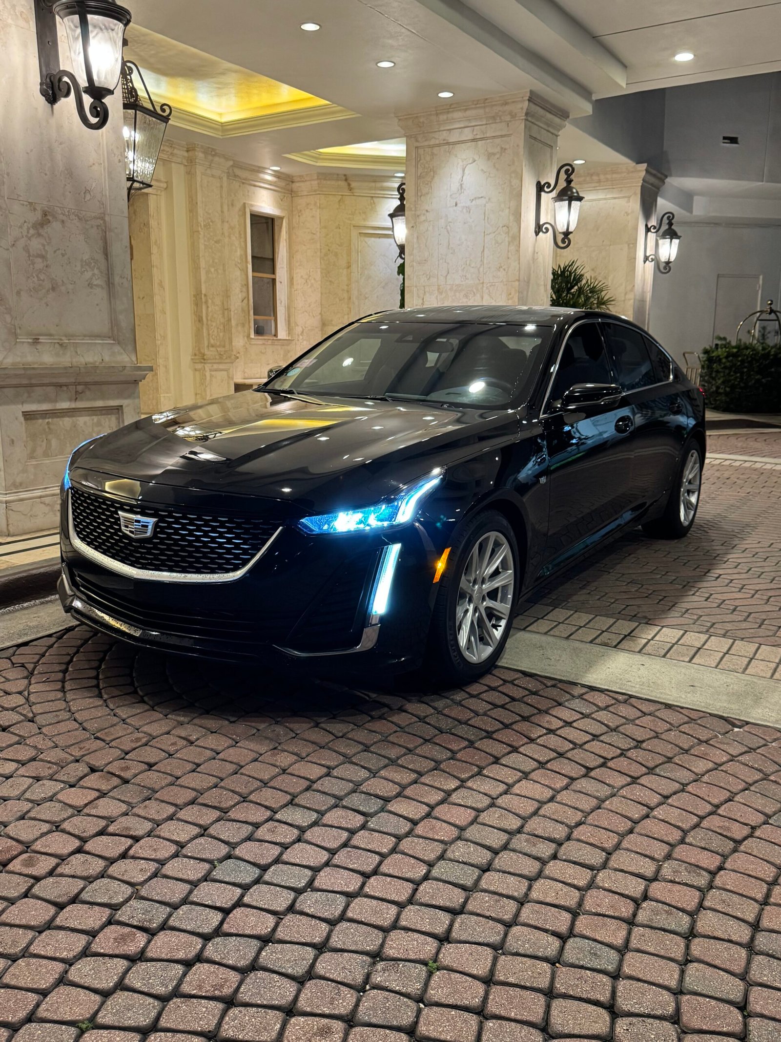 Limousine & Luxury Chauffeur Service | South Florida